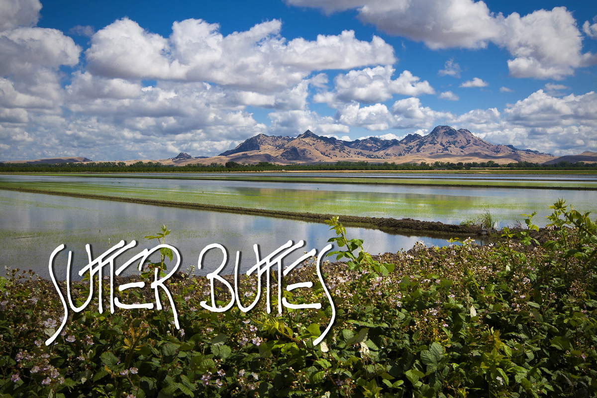  City of Yuba City - Commercial Photographer Yuba City 
